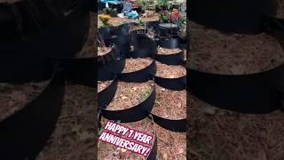 HAPPY ANNIVERSARY! Celebrating a full year of documented garden work!