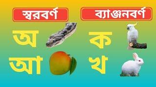 অ য়ে অজগর আসছে তেড়ে | ক য়ে কাকাতুয়ার মাথায় ঝুঁটি | বাংলা বর্ণমালা | Bengali alphabets