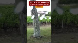 ШАТО МАРГО – ВЕЛИКОЕ ШАТО БОРДО  Путешествие 12000 км #travellinger 3/14 #бордо #chateau #margaux
