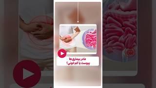 ۱ ژوئن ۲۰۲۵