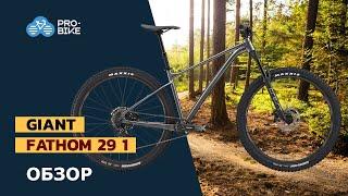 Горный велосипед Giant Fathom 29 1 (2022)