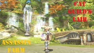 Lineage 2 Essence - Cat Guild's Lair