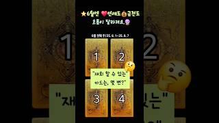 6월 첫째 주 운세복채는 구독️️