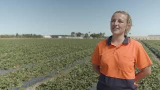 Queensland farm Management and Training Company Video