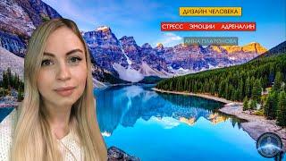 Дизайн человека стресс эмоции адреналин Анна Платонова