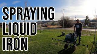 HOW TO.  Spraying Liquid Iron and Humic Acid. GREEN LAWN