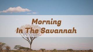 Morning In The Savannah - African Orchestral Composition - Volodymyr Vivsianyi