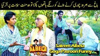 Goga Pasroori Amrood Chor | Saleem Albela nay Pakkar Lia Funny Video