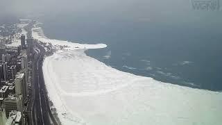 A rare sight straight from Lake Michigan!