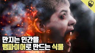 만지고 햇빛을 보면 화상을 입는 최악의 외래종 '자이언트 호그위드' 이야기