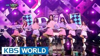 DIA (다이아) - Mr.Potter [Music Bank / 2016.10.14]