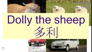 "DOLLY THE SHEEP" in Cantonese (多利) - Flashcard