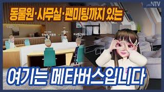 동물원·사무실·팬미팅 다 있습니다…여기는 메타버스입니다