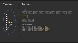 NEAT Algorithm Visually Explained