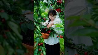 Harvesting some fresh and delicious fruits #shorts #nature #fruit