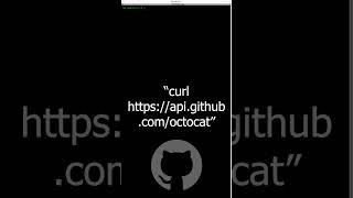 GitHub's Octocat Easter Egg! #github #coding #easteregg