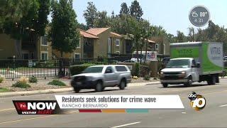 Rancho Bernardo neighbors may hire guards