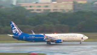 BIG Surprises Spotting Tampa International Airport