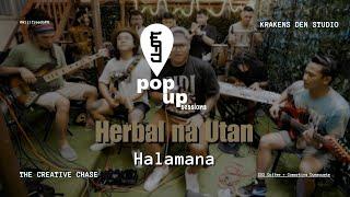 Willfreedo - Herbal na Utan (Halamana cover)