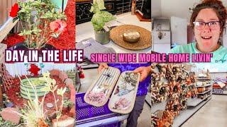 NEW VLOG: SINGLE WIDE LIVING YARD WORK RUNNING ERRANDS DECOR KIMI COPE