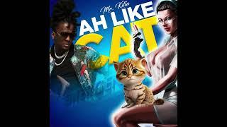 Mr Killa - Ah Like Cat  [ Official Audio ]  “Soca 2024”