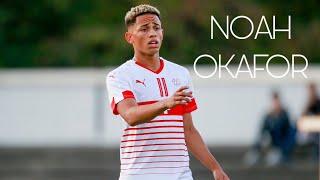 Noah Okafor • Goals and Skills