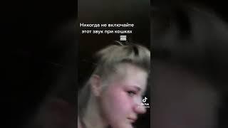 кот кровавый