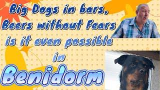 Benidorm Part 1 - Can we avoid the market, find a Guinness and take a Rottweiler around safely?