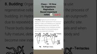 Class:- 10 How do organisms reproduce based important notes   for all students part:- 18