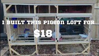 The $18 Pigeon Loft