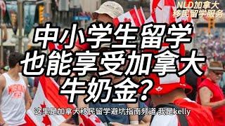 中小学生留学也能享受加拿大牛奶金？