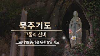 [다함께 기도를] 코로나19종식을 위해 함께 바치는 묵주 9일 기도_3일