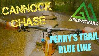 RECOMMENDED: Perry's Trail - New For 2021 - The Family Friendly Blue MTB Trail at Cannock Chase