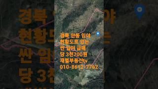 안동 싼임야