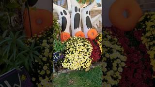 Flowers and Halloween decorations