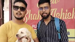 Customer feedback  Vikash Dog House Rudrapur Uttarakhand