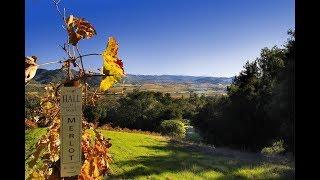 Develop Your Wine Country Dream in Geyserville, California | Sotheby's International Realty