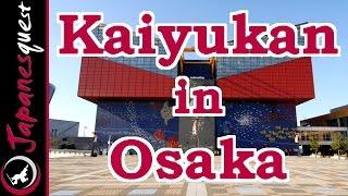 Osaka Aquarium Kaiyukan Tour! | Video Japan Guide