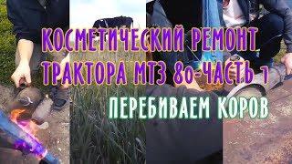 Косметический ремонт трактора МТЗ 80-Часть 1 // Перебиваем коров // ЛПХ-Кирсановы