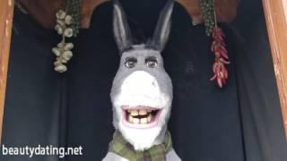 I made Shrek's Donkey burst into laughter   Universal Studios Hollywood