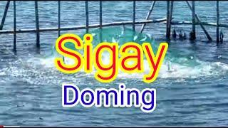 SIGAY  by Doming (videoke) ilocano novelty song #tonylab31 