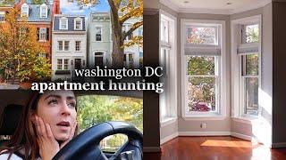 DC Apartment Hunting (5 apartments w/ rent prices + tips, escaping depression..)