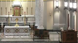 Sacred Heart Cathedral Live Stream