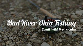 Mad River Ohio Fishing: First Small Brown