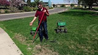 UMN Extension Lawn Repair