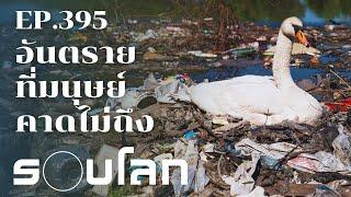 สารเคมีในพลาสติก อันตรายที่มนุษย์คาดไม่ถึง | ร้อยเรื่องรอบโลก EP.395