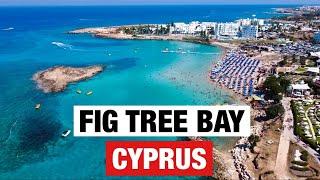 PROTARAS, CYPRUS  [4K Drone] Fig Tree Bay