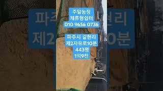 2025.1.23주말농장(파주시 갈현사거리)