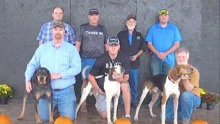 Hunting and Showing UKC Coonhounds - Treeing Walkers, Black & Tans, Blueticks