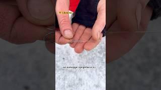 Идеальная оснастка для жерлиц #рыбалка #жерлицы #щука #судак
